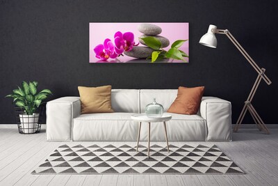 Quadro canvas Flor Orquídea Planta Zen
