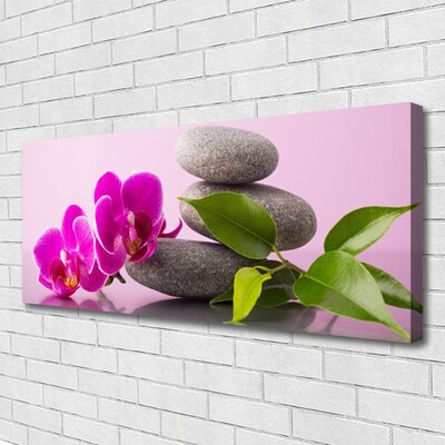 Quadro canvas Flor Orquídea Planta Zen
