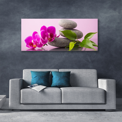 Quadro canvas Flor Orquídea Planta Zen