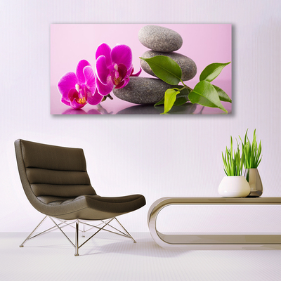 Quadro canvas Flor Orquídea Planta Zen