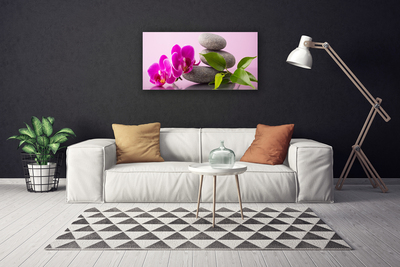 Quadro canvas Flor Orquídea Planta Zen