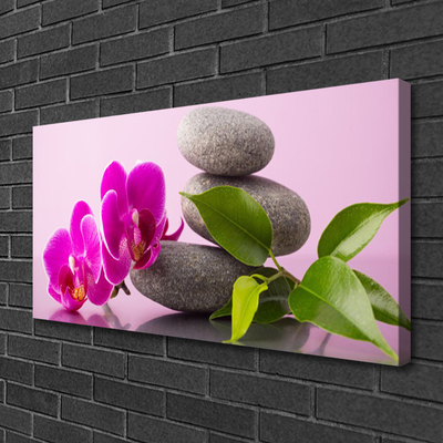 Quadro canvas Flor Orquídea Planta Zen
