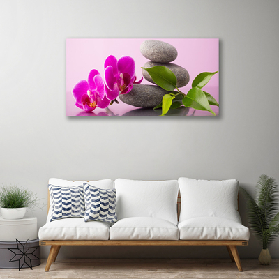 Quadro canvas Flor Orquídea Planta Zen