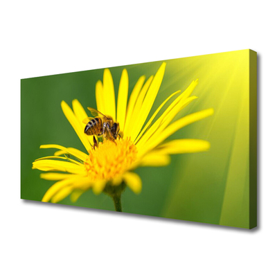 Quadro em tela Abelha Flor Natureza