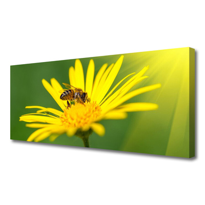 Quadro em tela Abelha Flor Natureza