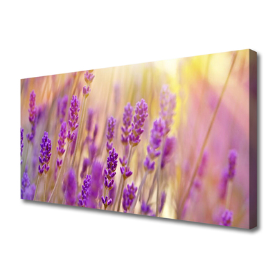 Quadro canvas Flores Planta Natureza
