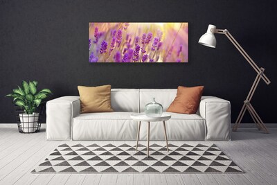 Quadro canvas Flores Planta Natureza