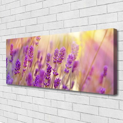 Quadro canvas Flores Planta Natureza