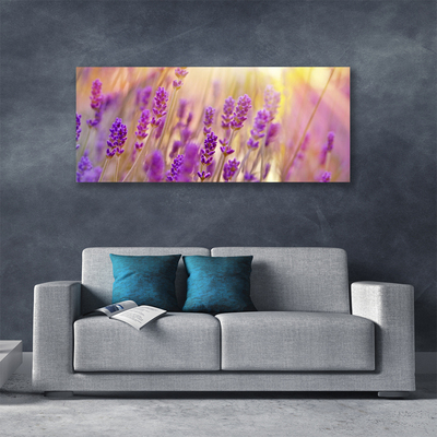 Quadro canvas Flores Planta Natureza