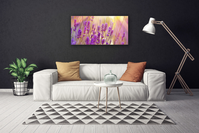 Quadro canvas Flores Planta Natureza