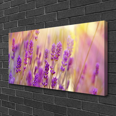 Quadro canvas Flores Planta Natureza