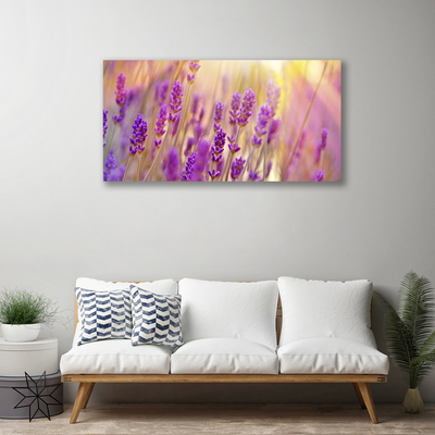 Quadro canvas Flores Planta Natureza