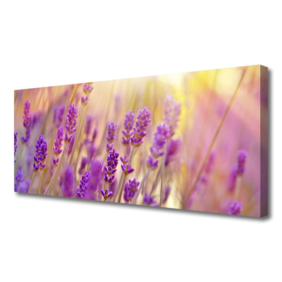 Quadro canvas Flores Planta Natureza