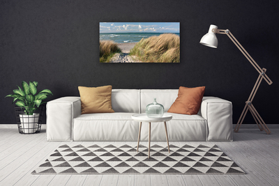 Quadro em tela Paisagem de ervas marinhas de praia