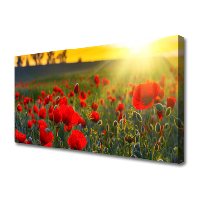 Quadro canvas Papoulas do Prado Plantam Natureza