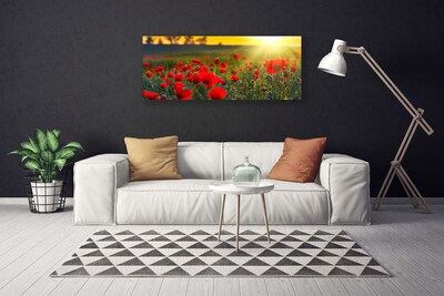 Quadro canvas Papoulas do Prado Plantam Natureza