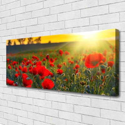 Quadro canvas Papoulas do Prado Plantam Natureza
