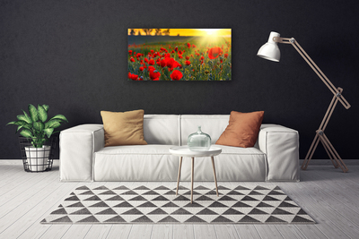 Quadro canvas Papoulas do Prado Plantam Natureza