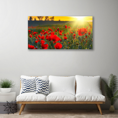Quadro canvas Papoulas do Prado Plantam Natureza