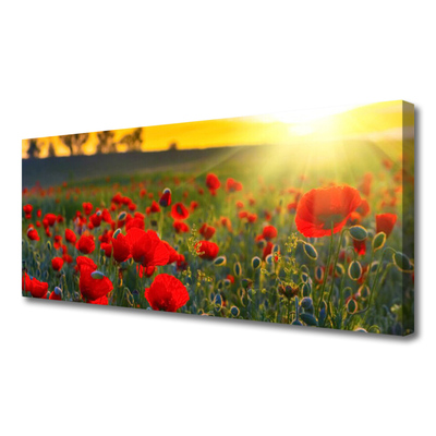 Quadro canvas Papoulas do Prado Plantam Natureza