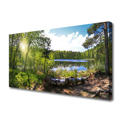 Quadro em tela Árvores da Floresta Lago Natureza