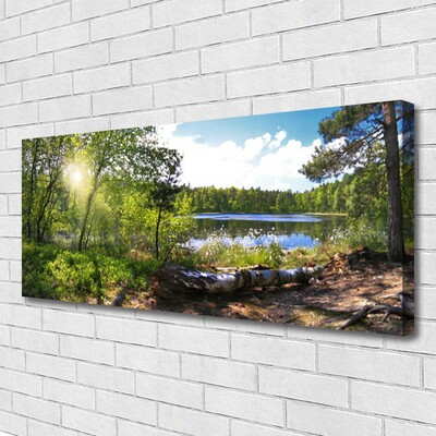 Quadro em tela Árvores da Floresta Lago Natureza