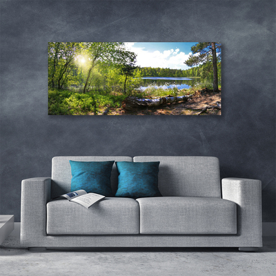 Quadro em tela Árvores da Floresta Lago Natureza