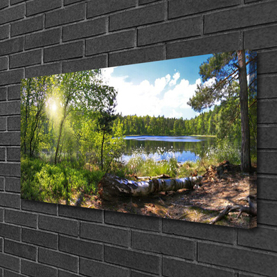 Quadro em tela Árvores da Floresta Lago Natureza