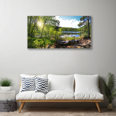 Quadro em tela Árvores da Floresta Lago Natureza