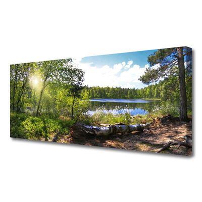 Quadro em tela Árvores da Floresta Lago Natureza