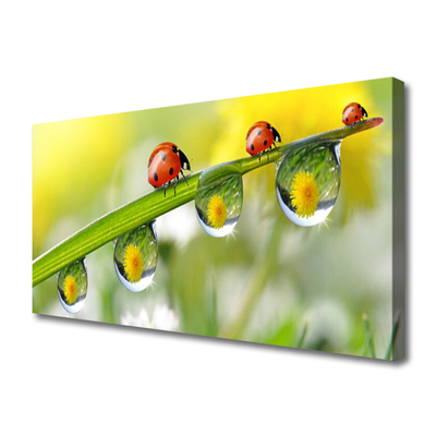 Quadro em tela Joaninha Folha Natureza