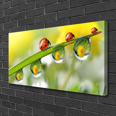 Quadro em tela Joaninha Folha Natureza