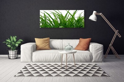 Quadro canvas Natureza da planta grama
