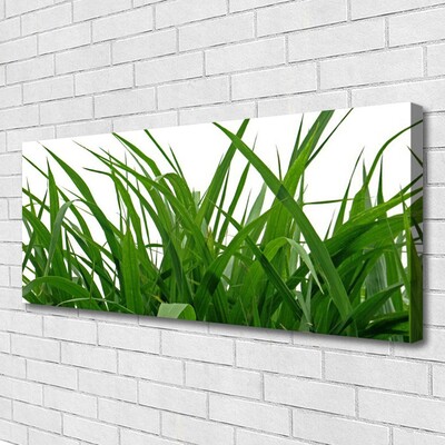 Quadro canvas Natureza da planta grama