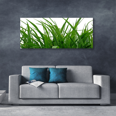 Quadro canvas Natureza da planta grama