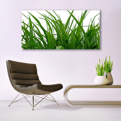 Quadro canvas Natureza da planta grama