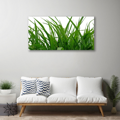 Quadro canvas Natureza da planta grama