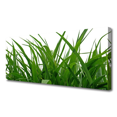 Quadro canvas Natureza da planta grama