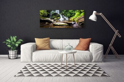 Quadro em tela Cachoeira Floresta Natureza Riacho