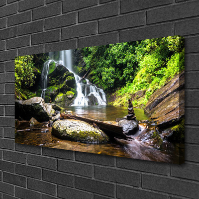 Quadro em tela Cachoeira Floresta Natureza Riacho
