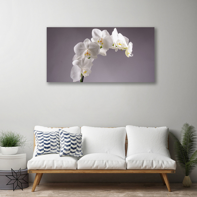 Quadro em tela Flores Planta Natureza