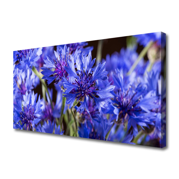 Quadro em tela Flores Planta Natureza