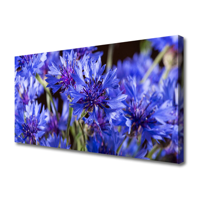 Quadro em tela Flores Planta Natureza