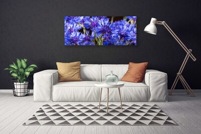 Quadro em tela Flores Planta Natureza