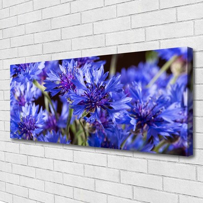 Quadro em tela Flores Planta Natureza