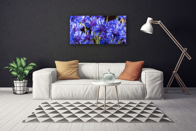 Quadro em tela Flores Planta Natureza