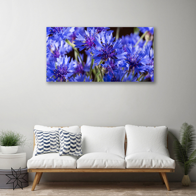 Quadro em tela Flores Planta Natureza