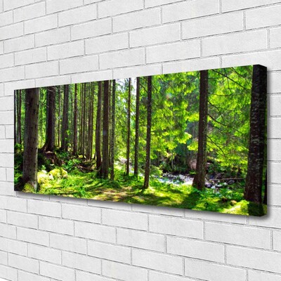 Quadro em tela Árvores da Floresta Plantam a Natureza