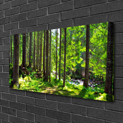 Quadro em tela Árvores da Floresta Plantam a Natureza