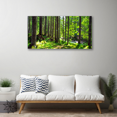 Quadro em tela Árvores da Floresta Plantam a Natureza